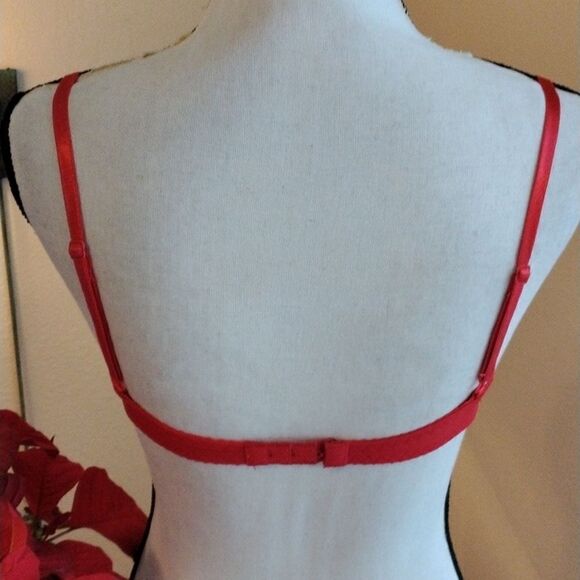 Red Lace Bra  - Picture 4 of 7